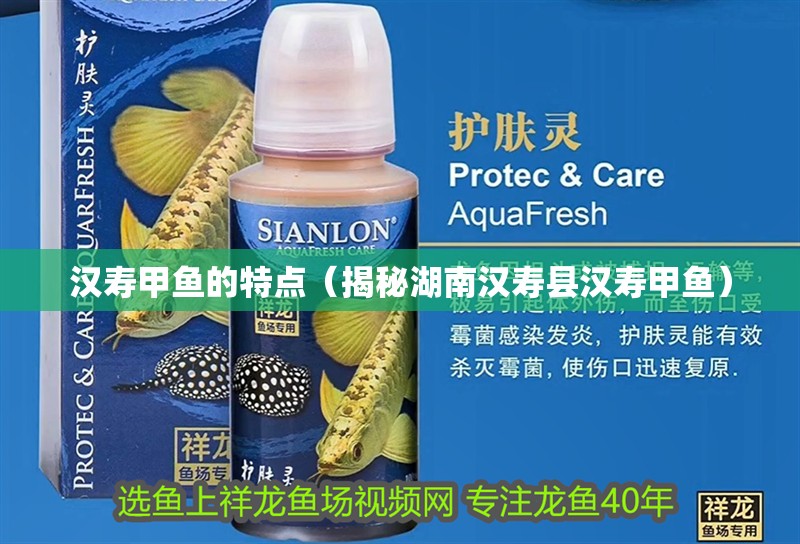 漢壽甲魚的特點（揭秘湖南漢壽縣漢壽甲魚）