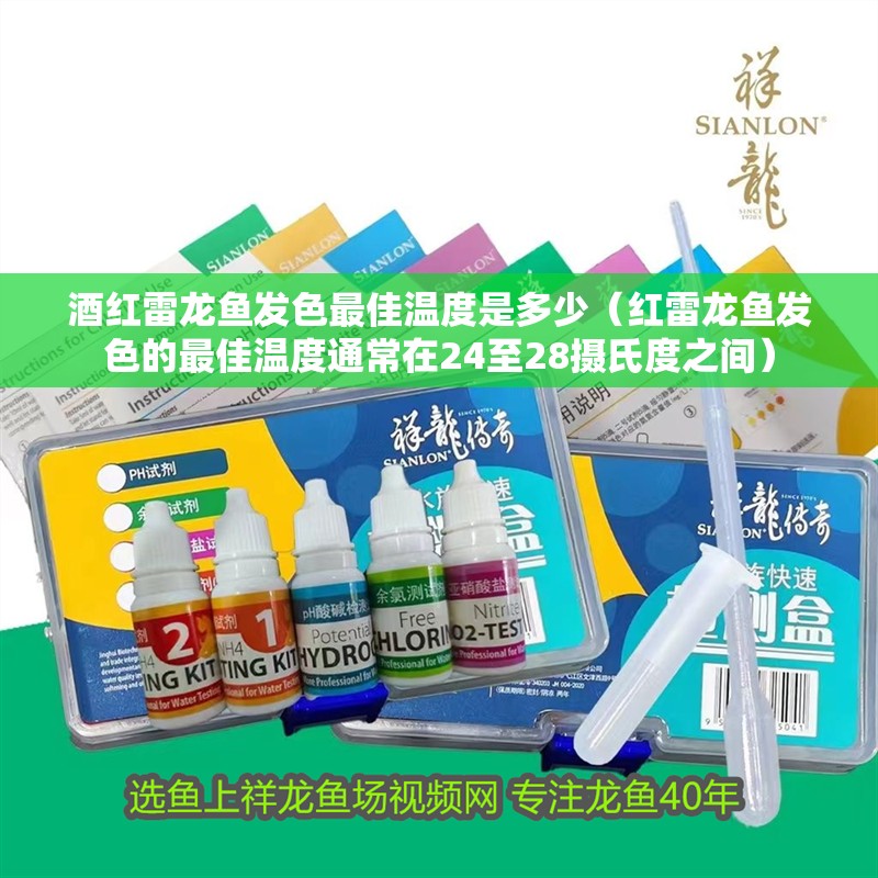 酒紅雷龍魚(yú)發(fā)色最佳溫度是多少（紅雷龍魚(yú)發(fā)色的最佳溫度通常在24至28攝氏度之間）