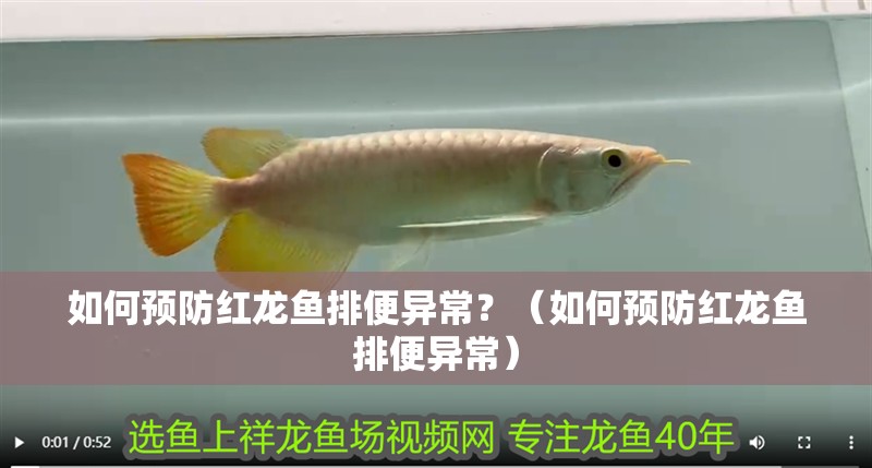 如何預(yù)防紅龍魚排便異常？（如何預(yù)防紅龍魚排便異常）