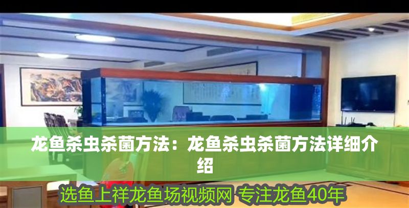 龍魚殺蟲殺菌方法：龍魚殺蟲殺菌方法詳細介紹