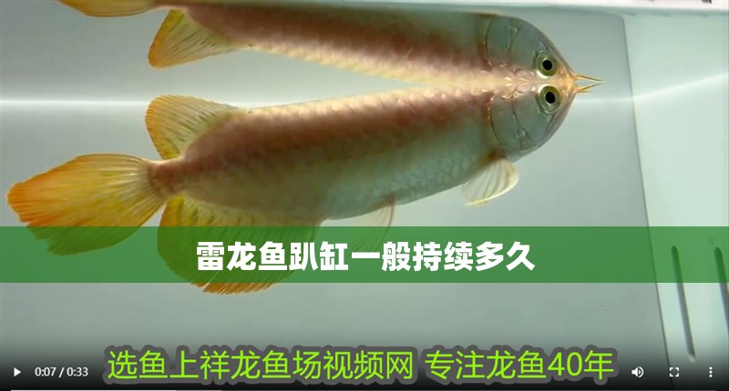 魚缸用增氧泵價格是多少:魚缸增氧機-xtrac增氧機-xtrac增氧機 雷龍魚趴缸一般持續多久 龍魚百科 雷龍魚趴缸一般持續多久 雷龍魚趴缸一般持續多久 龍魚百科