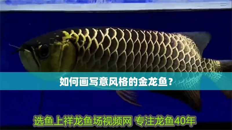 如何畫寫意風格的金龍魚？