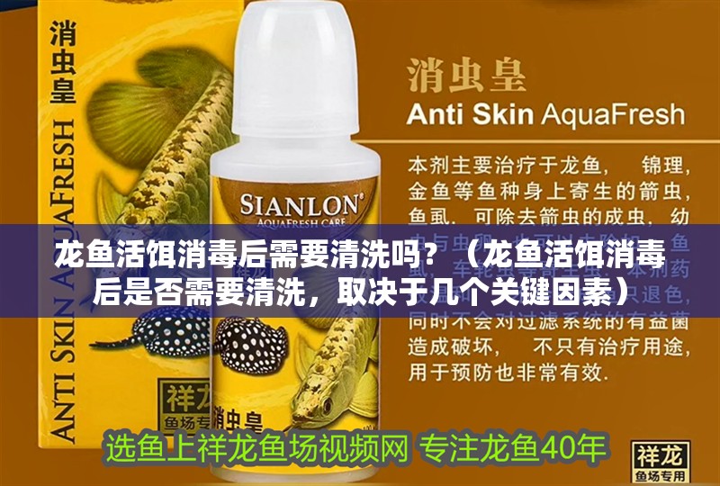 龍魚活餌消毒后需要清洗嗎？（龍魚活餌消毒后是否需要清洗，取決于幾個關鍵因素）