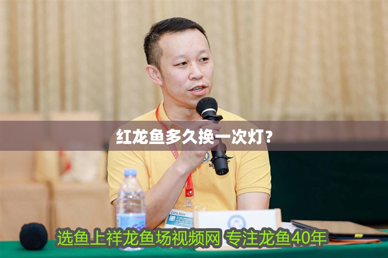 紅龍魚多久換一次燈？