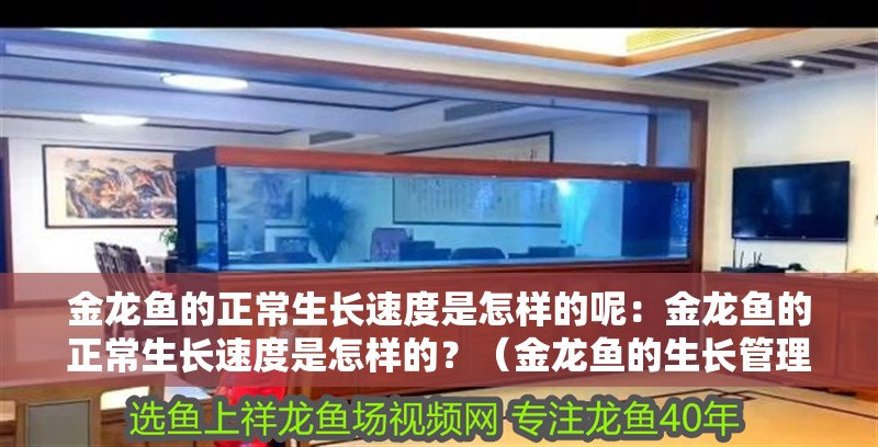 金龍魚的正常生長速度是怎樣的呢：金龍魚的正常生長速度是怎樣的？（金龍魚的生長管理）