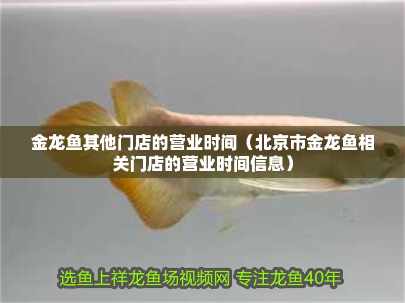金龍魚其他門店的營業時間（<strong><mark>北京</mark></strong>市金龍魚相關門店的營業時間信息）