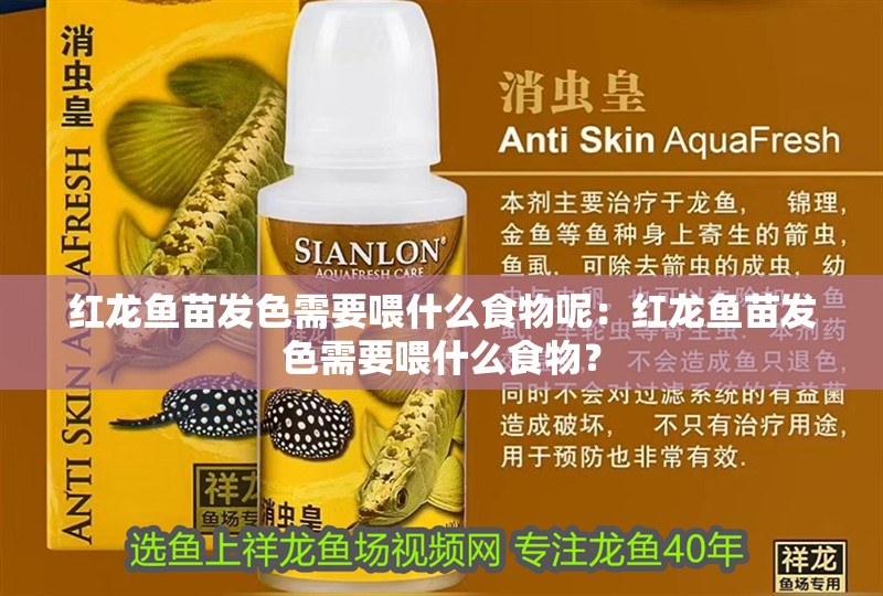 紅龍魚苗發色需要喂什么食物呢：紅龍魚苗發色需要喂什么食物？