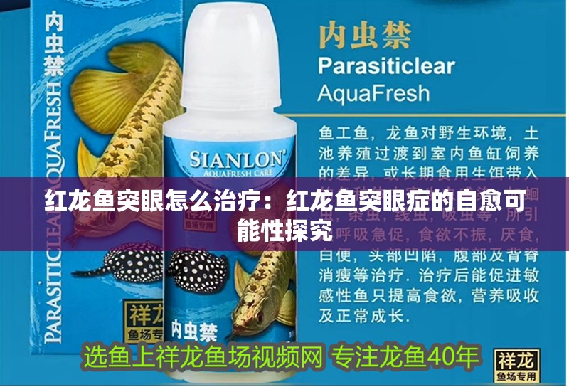 紅龍魚(yú)突眼怎么治療：紅龍魚(yú)突眼癥的自愈可能性探究