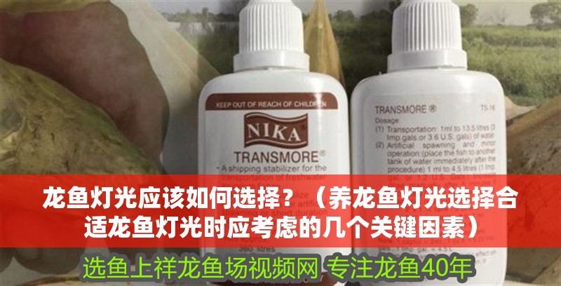 龍魚燈光應(yīng)該如何選擇？（養(yǎng)龍魚燈光選擇合適龍魚燈光時應(yīng)考慮的幾個關(guān)鍵因素）