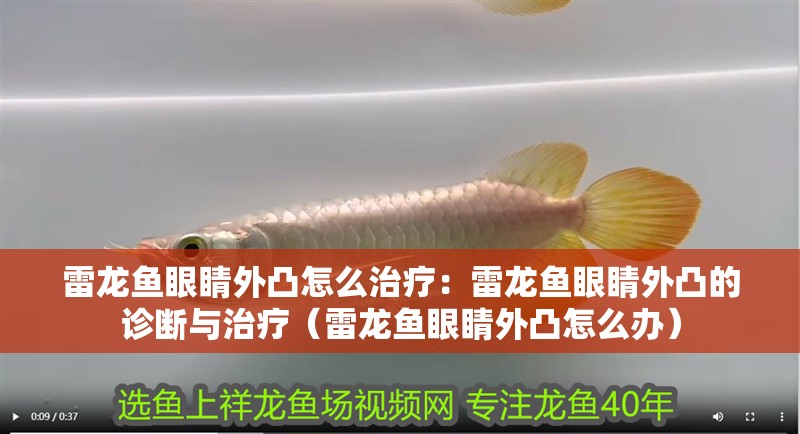 雷龍魚眼睛外凸怎么治療：雷龍魚眼睛外凸的診斷與治療（雷龍魚眼睛外凸怎么辦）