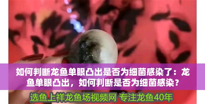 如何判斷龍魚單眼凸出是否為細菌感染了：龍魚單眼凸出，如何判斷是否為細菌感染？