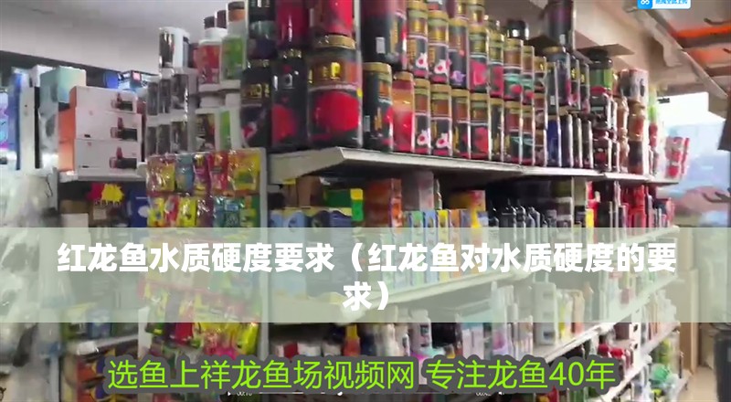 紅龍魚水質硬度要求（紅龍魚對水質硬度的要求）