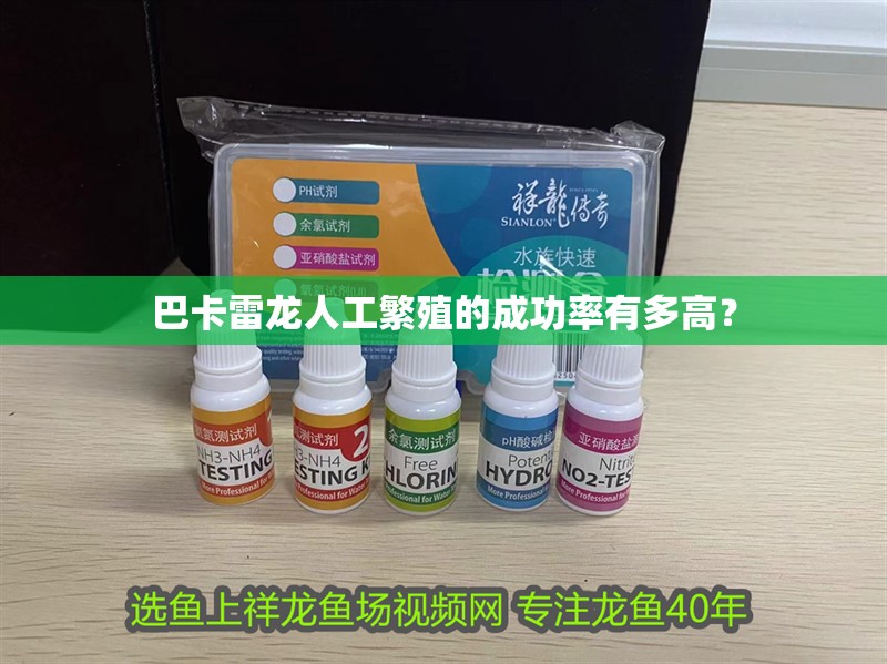 巴卡雷龍人工繁殖的成功率有多高？