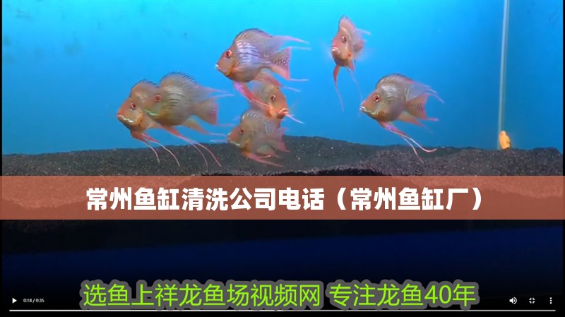 常州魚缸清洗公司電話（常州魚缸廠）
