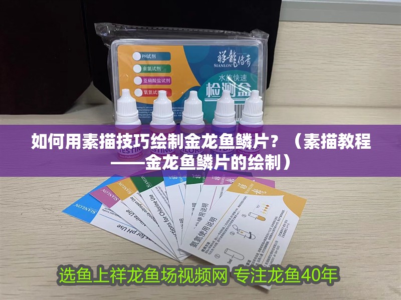 如何用素描技巧繪制金龍魚鱗片？（素描教程——金龍魚鱗片的繪制） 如何用素描技巧繪制金龍魚鱗片？（素描教程——金龍魚鱗片的繪制） 龍魚百科