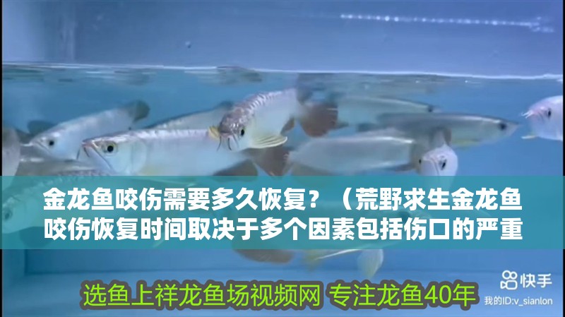 金龍魚咬傷需要多久恢復？（荒野求生金龍魚咬傷恢復時間取決于多個因素包括傷口的嚴重程度）