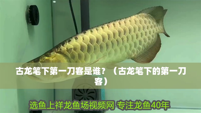 古龍筆下第一刀客是誰(shuí)？（古龍筆下的第一刀客）