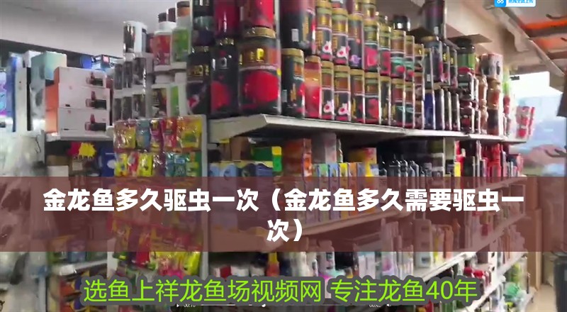 魚缸過濾器選購指南:自制魚缸過濾器魚缸上置過濾器對于養(yǎng)魚愛好者的必備知識 金龍魚多久驅(qū)蟲一次(金龍魚多久需要驅(qū)蟲一次) 龍魚百科 金龍魚多久驅(qū)蟲一次(金龍魚多久需要驅(qū)蟲一次) 金龍魚多久驅(qū)蟲一次(金龍魚多久需要驅(qū)蟲一次) 龍魚百科