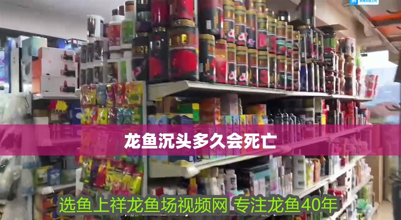 龍魚沉頭多久會死亡