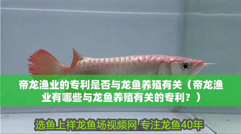 帝龍漁業(yè)的專利是否與龍魚養(yǎng)殖有關(guān)（帝龍漁業(yè)有哪些與龍魚養(yǎng)殖有關(guān)的專利？）