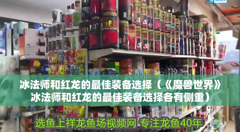 冰法師和紅龍的最佳裝備選擇（《魔獸世界》冰法師和紅龍的最佳裝備選擇各有側重）