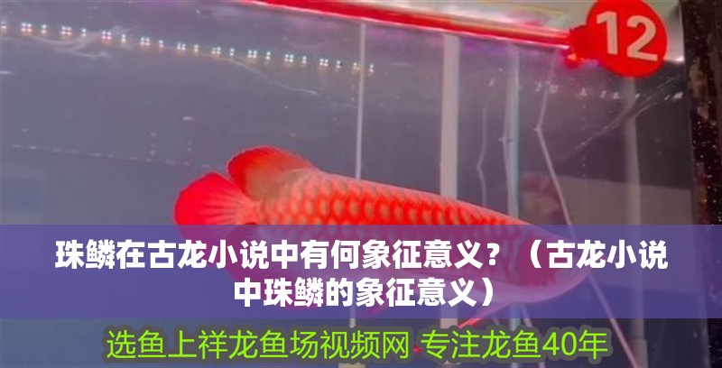 珠鱗在古龍小說中有何象征意義？（古龍小說中珠鱗的象征意義）