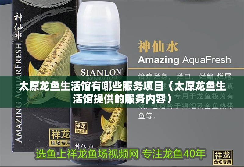 太原龍魚生活館有哪些服務項目（太原龍魚生活館提供的服務內容）
