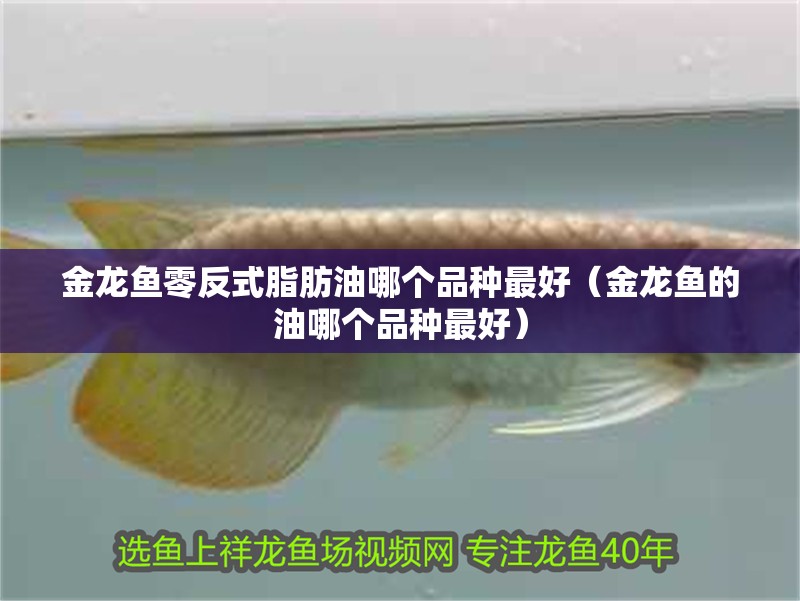 金龍魚零反式脂肪油哪個品種最好（金龍魚的油哪個品種最好）