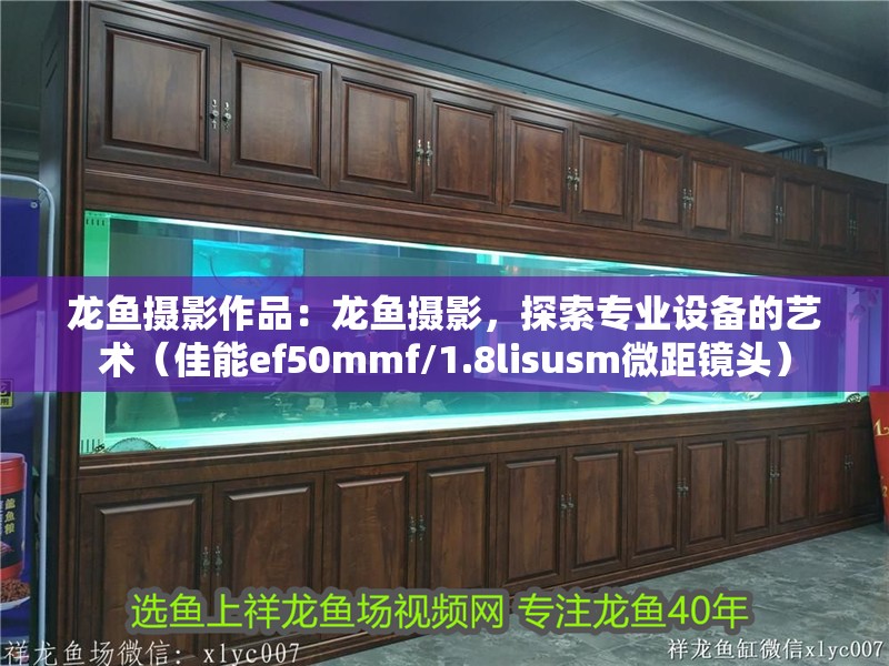 龍魚攝影作品：龍魚攝影，探索專業設備的藝術（佳能ef50mmf/1.8lisusm微距鏡頭）