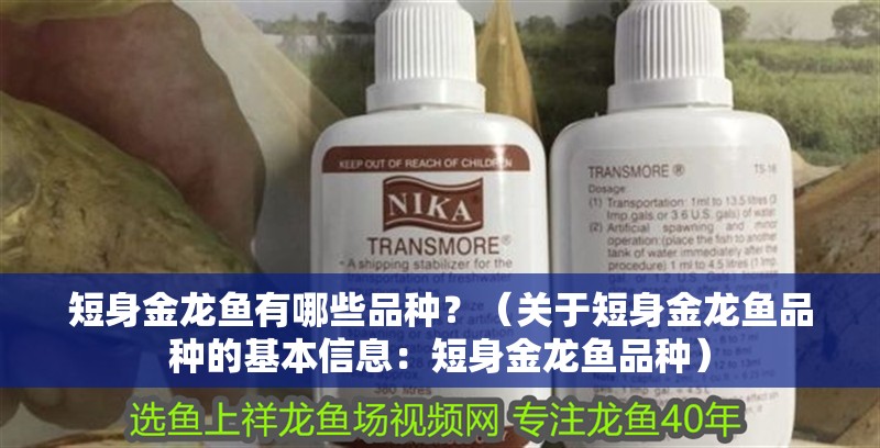 短身金龍魚有哪些品種？（關于短身金龍魚品種的基本信息：短身金龍魚品種）