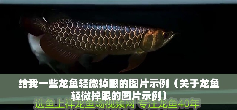 給我一些龍魚輕微掉眼的圖片示例（關于龍魚輕微掉眼的圖片示例）