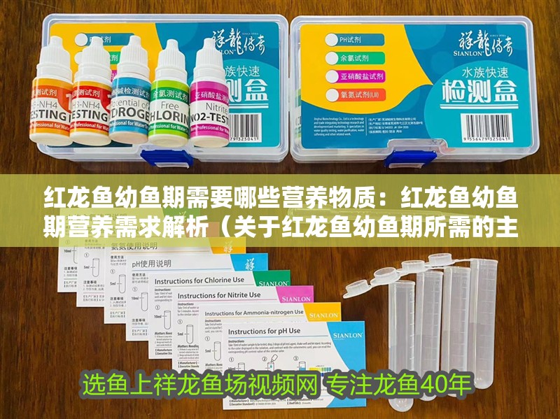 紅龍魚幼魚期需要哪些營養物質：紅龍魚幼魚期營養需求解析（關于紅龍魚幼魚期所需的主要營養成分）