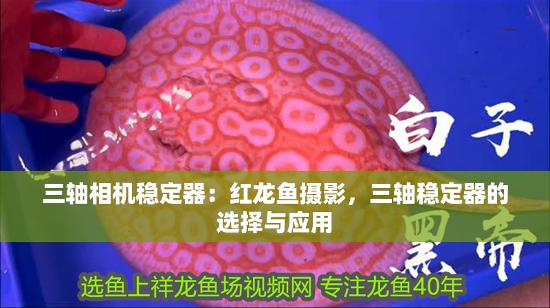 三軸相機(jī)穩(wěn)定器：紅龍魚(yú)攝影，三軸穩(wěn)定器的選擇與應(yīng)用