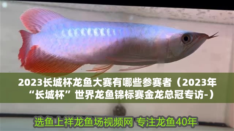 2023長城杯龍魚大賽有哪些參賽者（2023年“長城杯”世界龍魚錦標賽金龍總冠專訪-）