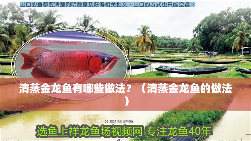 清蒸金龍魚有哪些做法？（清蒸金龍魚的做法）