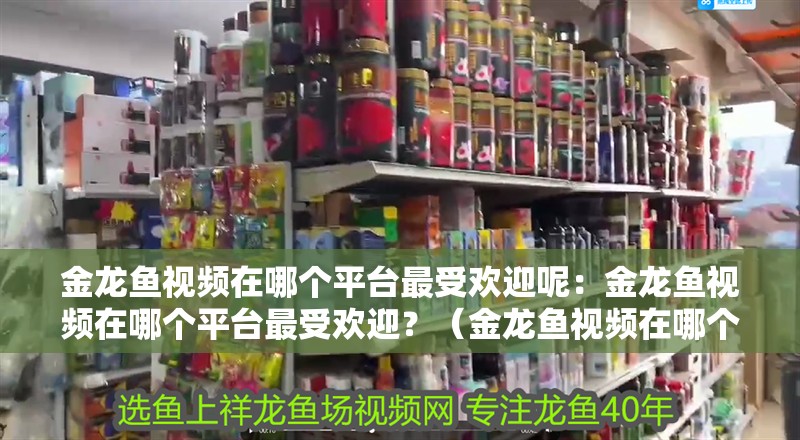 金龍魚視頻在哪個平臺最受歡迎呢：金龍魚視頻在哪個平臺最受歡迎？（金龍魚視頻在哪個平臺上最受歡迎？）