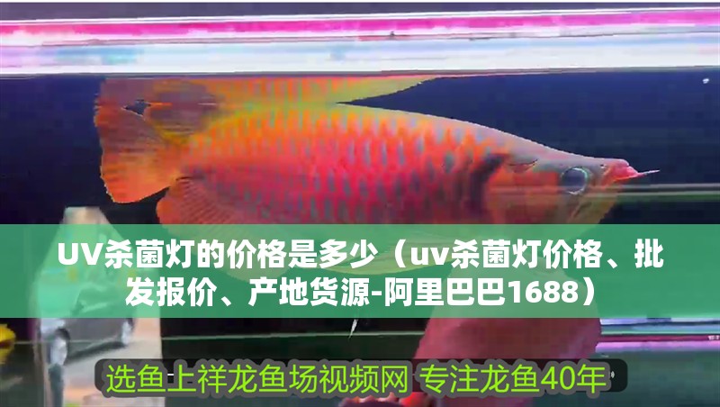 UV殺菌燈的價格是多少（uv殺菌燈價格、批發報價、產地貨源-<strong><mark>阿里</mark></strong>巴巴1688）