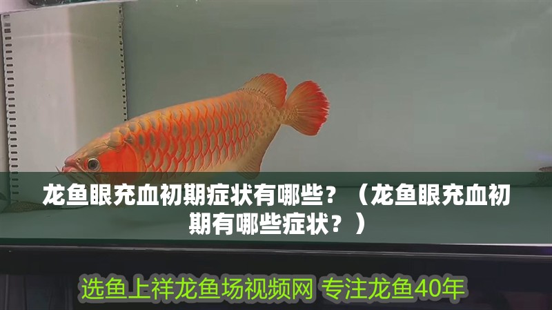 龍魚眼充血初期癥狀有哪些？（龍魚眼充血初期有哪些癥狀？）