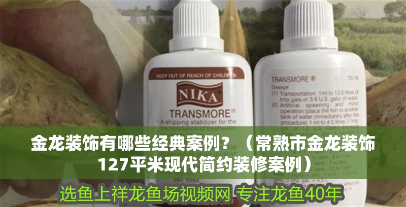 金龍裝飾有哪些經典案例？（常熟市金龍裝飾127平米現代簡約裝修案例）