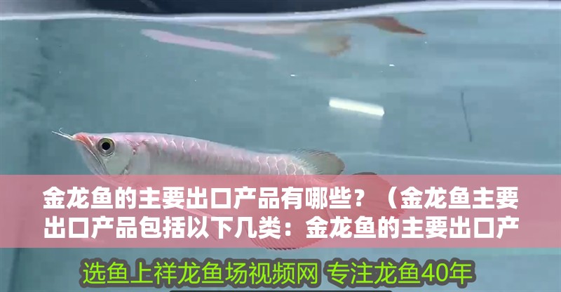 金龍魚的主要出口產(chǎn)品有哪些？（金龍魚主要出口產(chǎn)品包括以下幾類：金龍魚的主要出口產(chǎn)品）