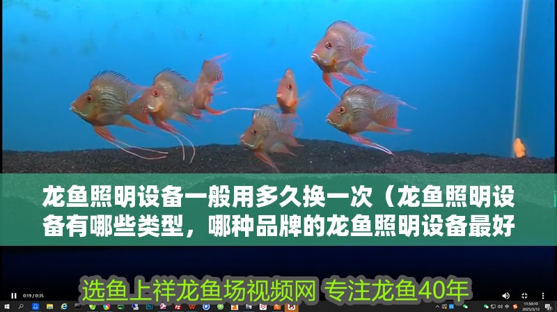 龍魚照明設(shè)備一般用多久換一次（龍魚照明設(shè)備有哪些類型，哪種品牌的龍魚照明設(shè)備最好？）