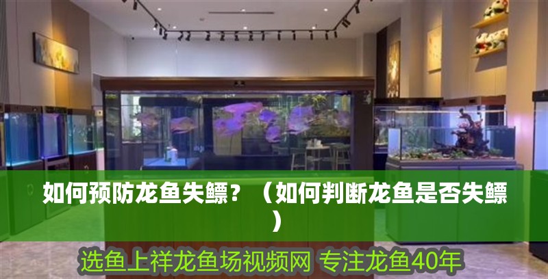 如何預防龍魚失鰾？（如何判斷龍魚是否失鰾）