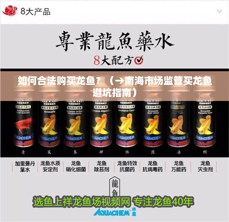 如何合法購買龍魚？（→南海市場監管買龍魚避坑指南）