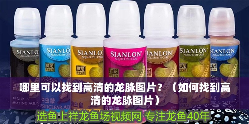 哪里可以找到高清的龍脈圖片？（如何找到高清的龍脈圖片） 哪里可以找到高清的龍脈圖片？（如何找到高清的龍脈圖片） 龍魚百科