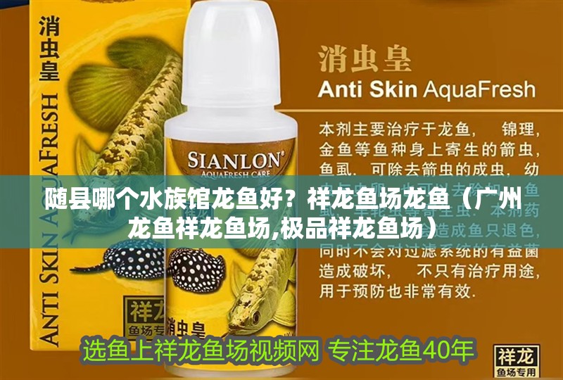 隨縣哪個水族館龍魚好？祥龍魚場龍魚（廣州龍魚祥龍魚場,極品祥龍魚場） 隨縣哪個水族館龍魚好？祥龍魚場龍魚（廣州龍魚祥龍魚場,極品祥龍魚場） 龍魚百科