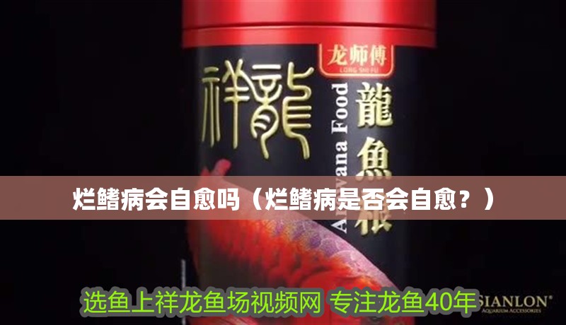 爛鰭病會(huì)自愈嗎（爛鰭病是否會(huì)自愈？）