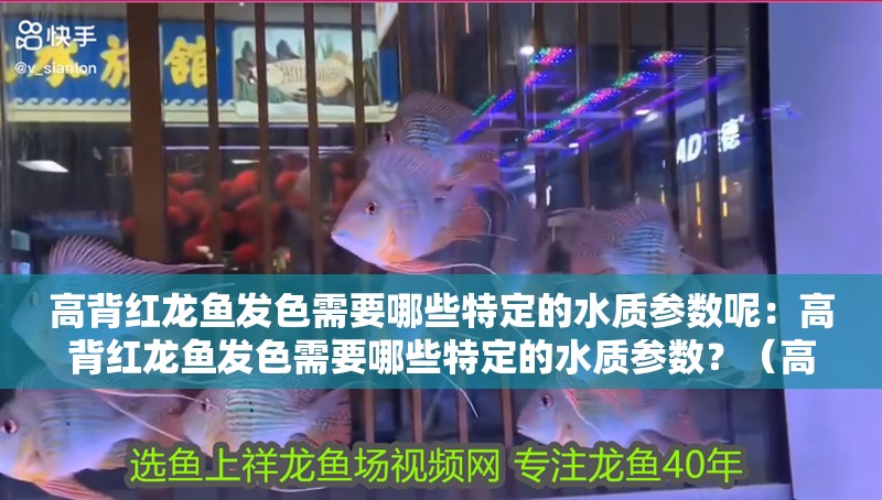 高背紅龍魚(yú)發(fā)色需要哪些特定的水質(zhì)參數(shù)呢：高背紅龍魚(yú)發(fā)色需要哪些特定的水質(zhì)參數(shù)？（高背紅龍魚(yú)健康發(fā)色的關(guān)鍵因素）