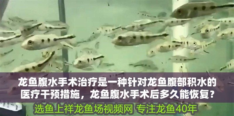 龍魚腹水手術治療是一種針對龍魚腹部積水的醫療干預措施，龍魚腹水手術后多久能恢復？