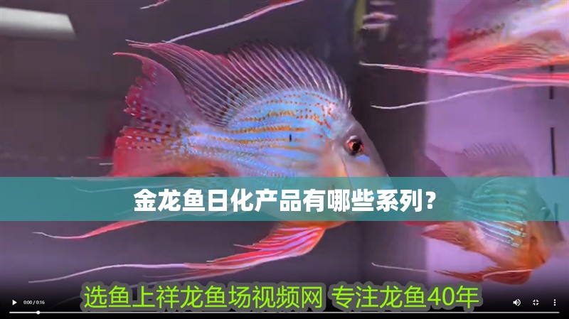 金龍魚日化產品有哪些系列？