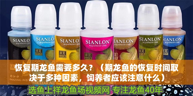 恢復期龍魚需要多久？（期龍魚的恢復時間取決于多種因素，飼養者應該注意什么）